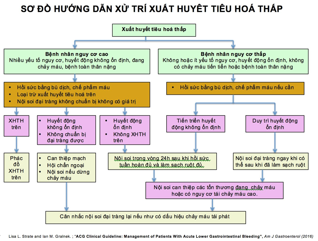 Bài giảng hướng dẫn xử trí xuất huyết tiêu hóa thấp