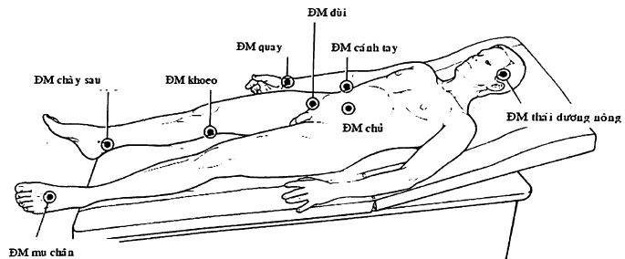 Bài Giảng Khám Hệ Thống Động Tĩnh Mạch – ĐHYD TPHCM