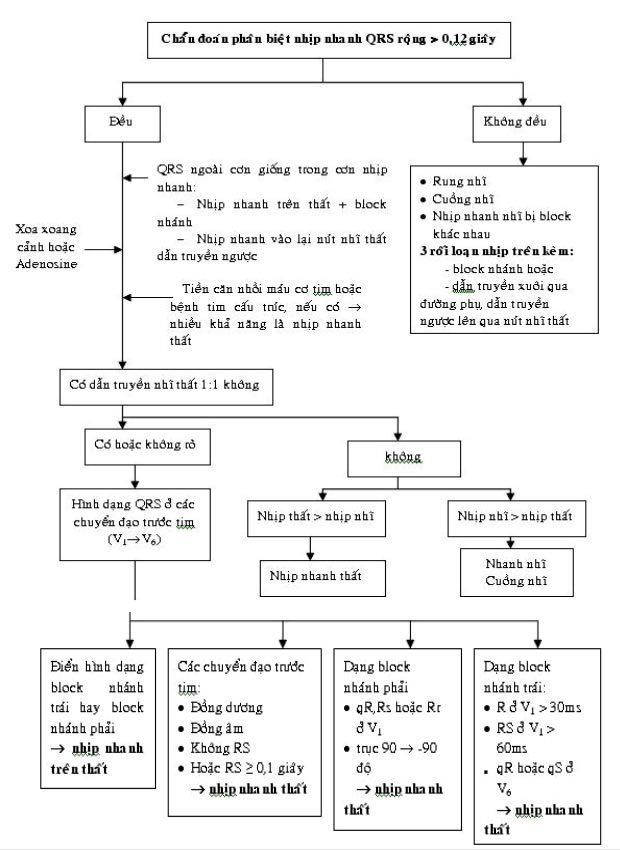 Bài giảng lâm sàng nhịp nhanh thất