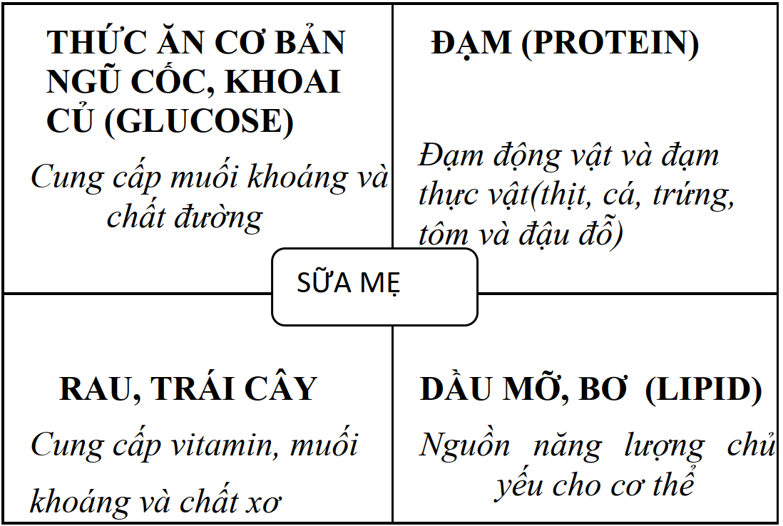 Bài giảng nhi khoa: Ăn dặm và nuôi con khi không có sữa mẹ