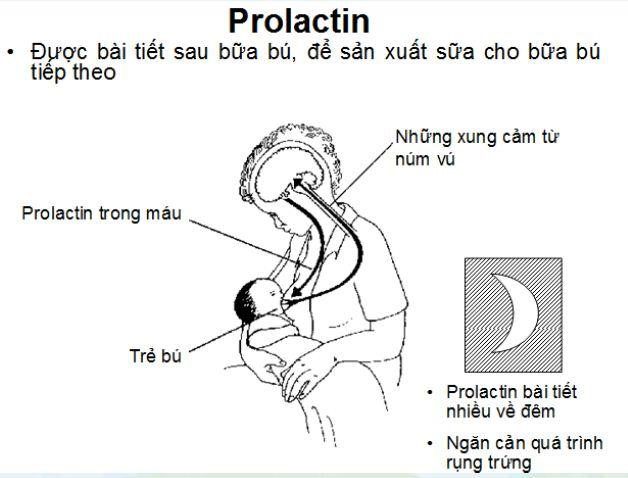 Bài giảng nhi khoa: Nuôi con bằng sữa mẹ