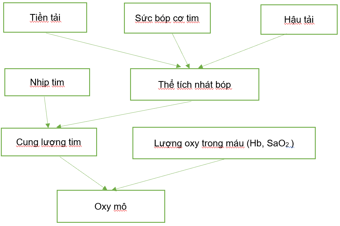 Bài giảng nhi khoa: Sốc ở trẻ em