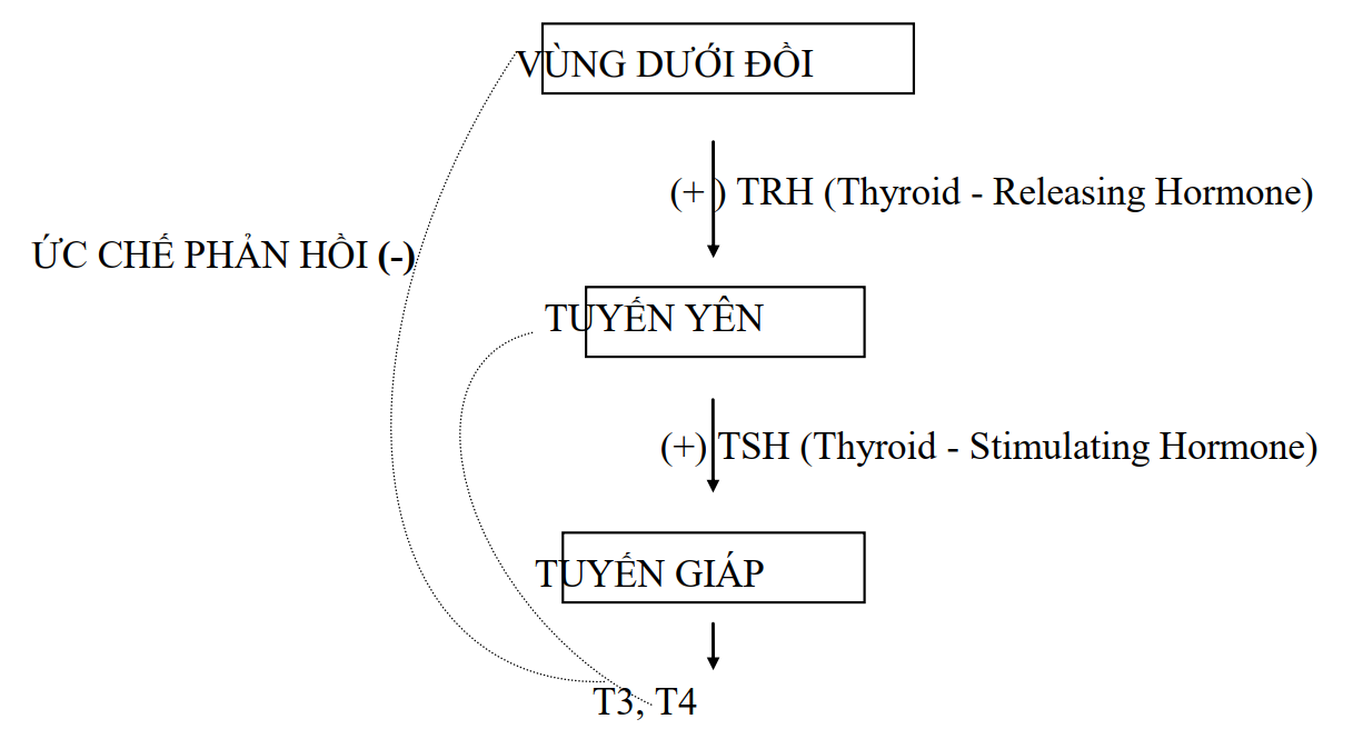 Bài giảng nhi khoa: Suy giáp ở trẻ em