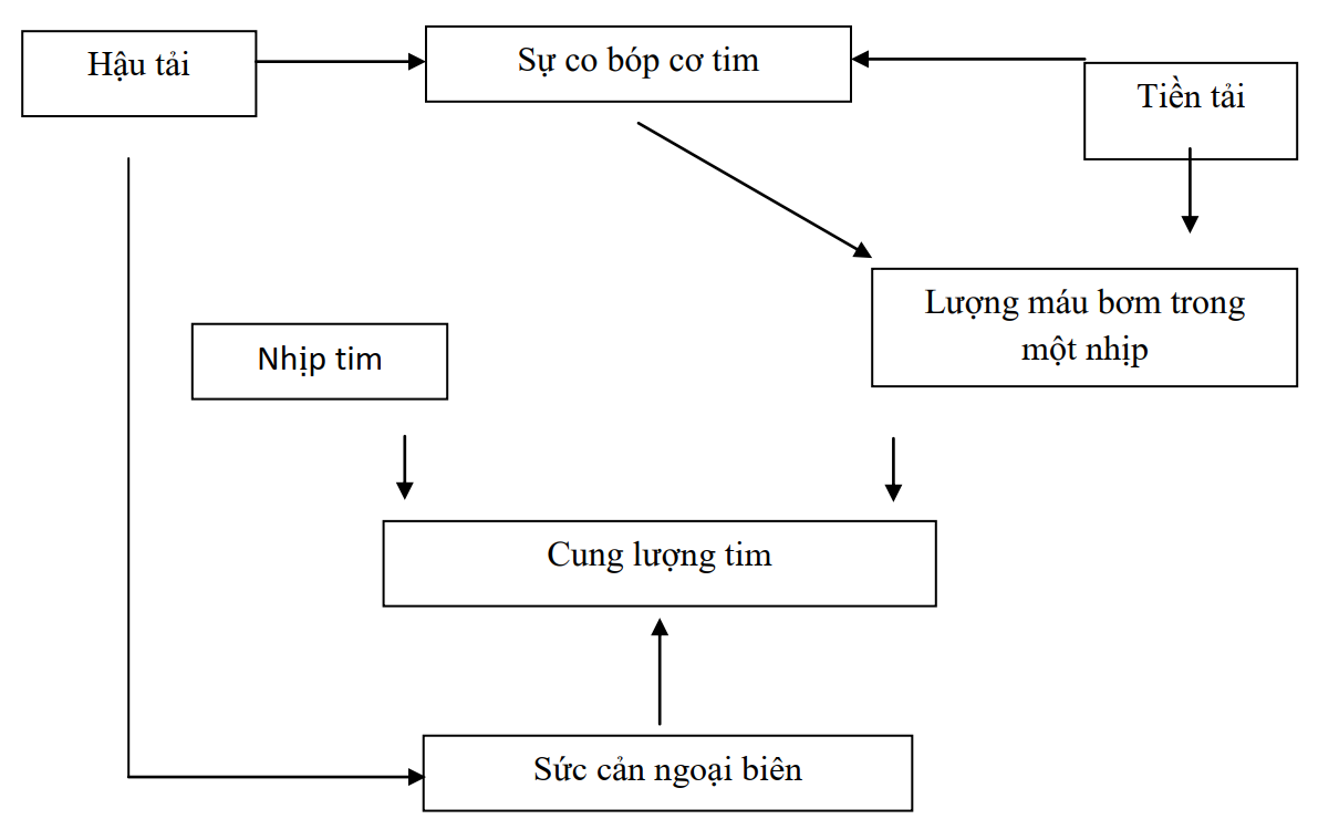Bài giảng nhi khoa: Suy tim ở trẻ em
