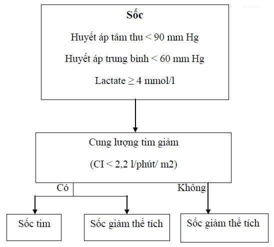 Bài giảng sốc tim