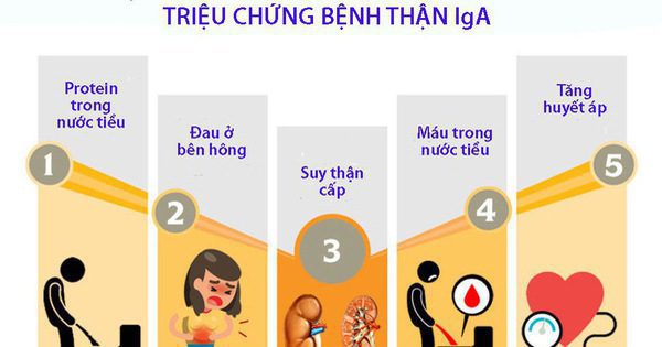 Bệnh Thận IgA