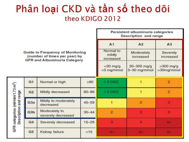 Bệnh Thận Mạn (CKD)