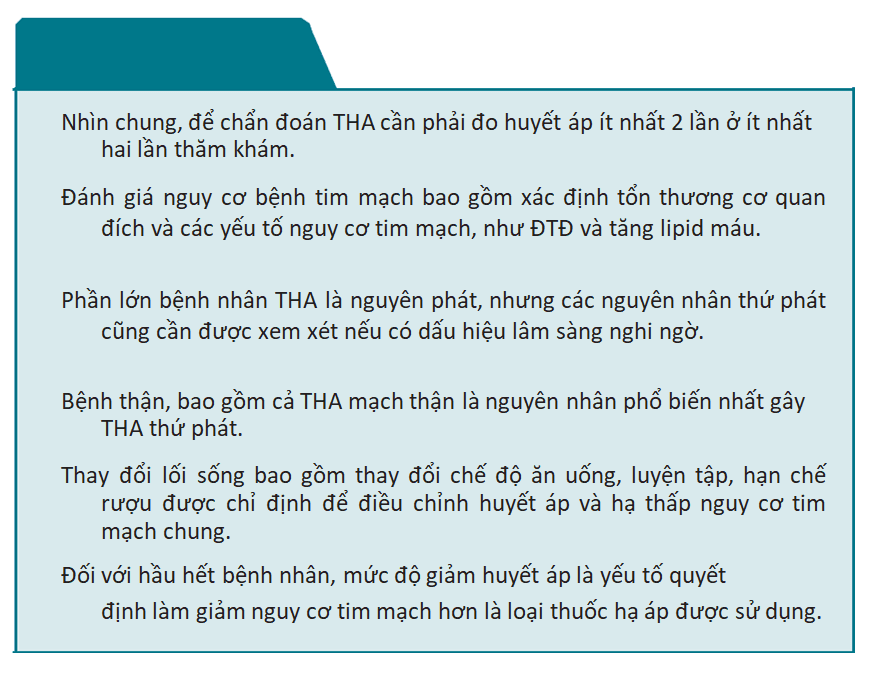 Case lâm sàng: Bệnh nhân THA kèm xơ vữa mạch máu