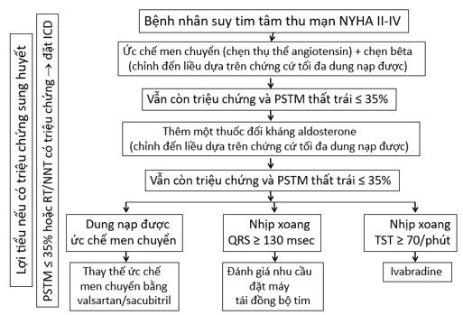 Chẩn đoán và điều trị suy tim