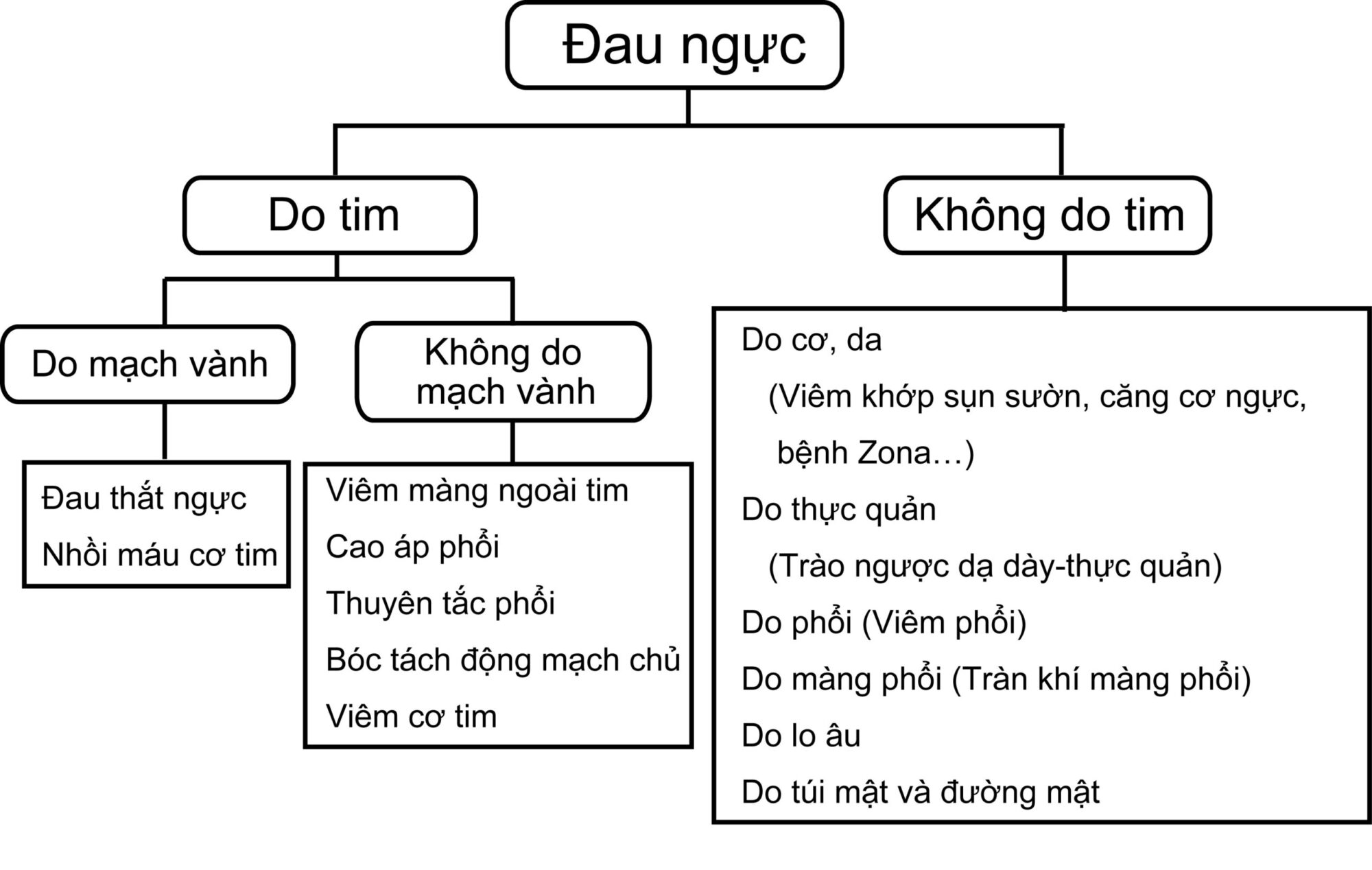 Chẩn Đoán Và Xử Trí Đau Ngực Chẩn Đoán Và Xử Trí Đau Ngực