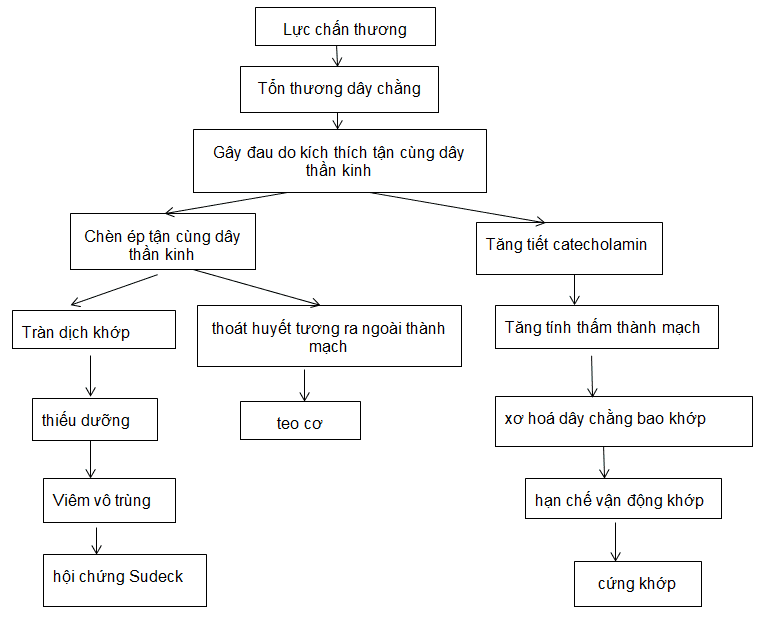 Đại cương bong gân, sai khớp