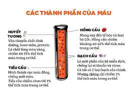 Độ nhớt của máu (Serum Viscosity)