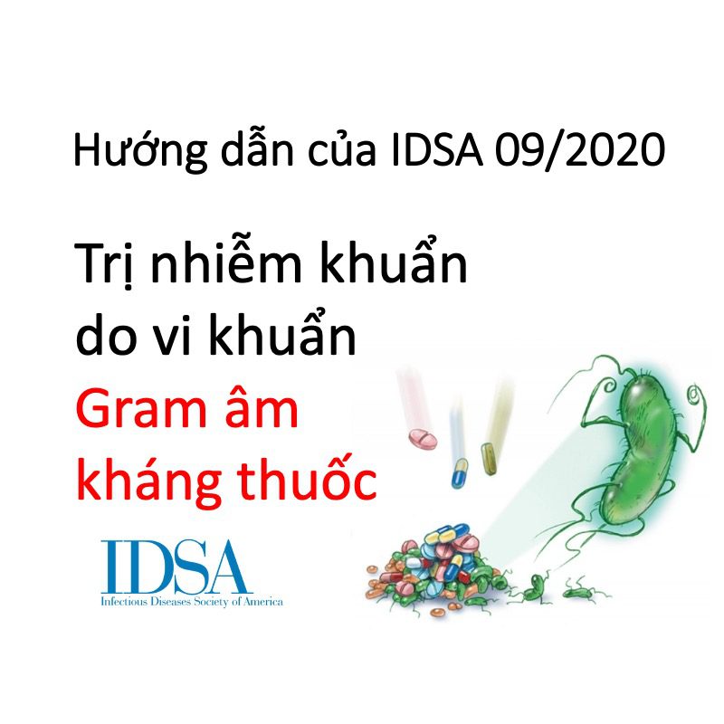 Hướng dẫn của IDSA về Điều trị đề kháng kháng sinh: Nhiễm khuẩn Gram âm