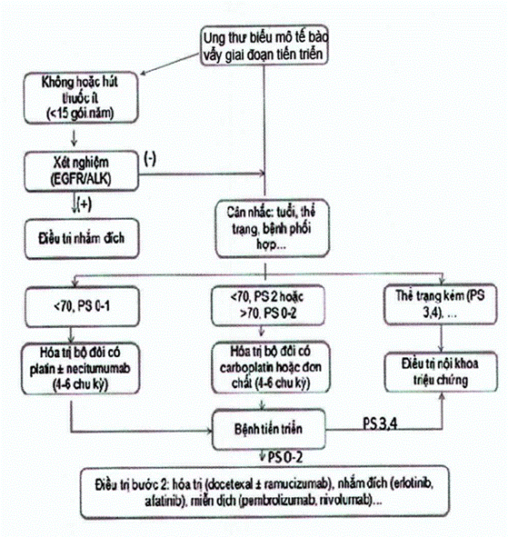 Hướng dẫn điều trị hóa chất ung thư phổi nguyên phát – Bộ y tế