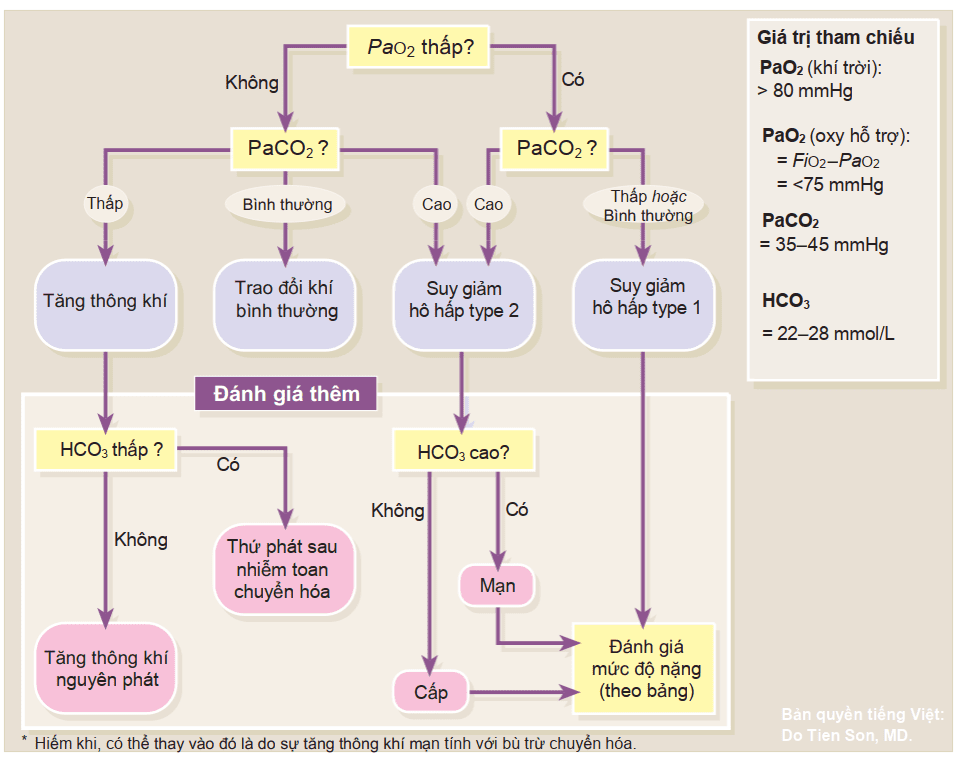 Làm thế nào để phân tích khí máu dễ dàng trong 4 bước