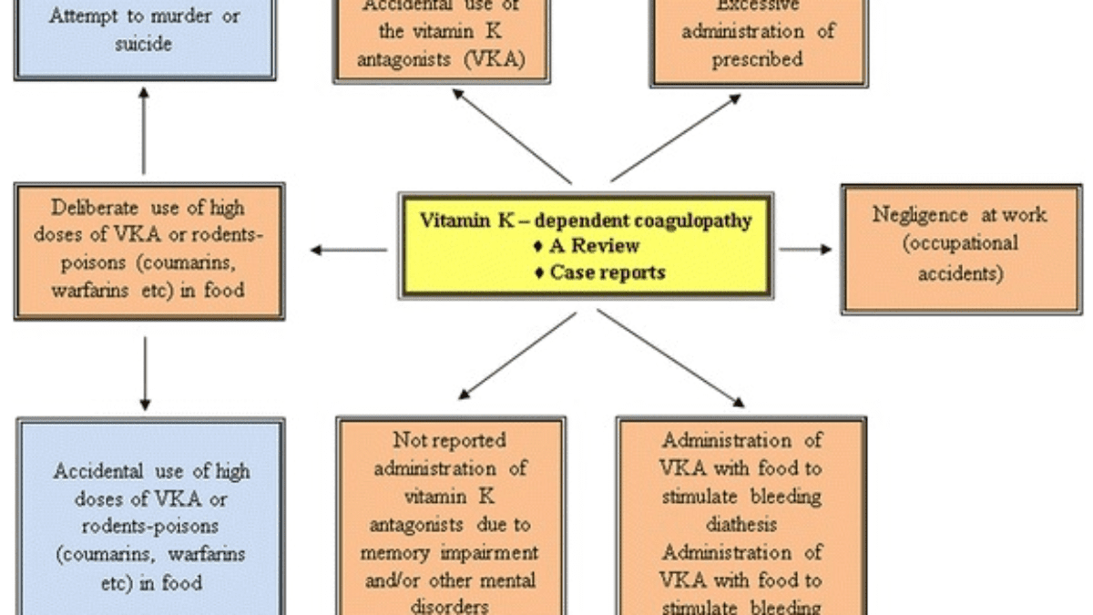 Ngộ độc cấp các chất kháng vitamin k