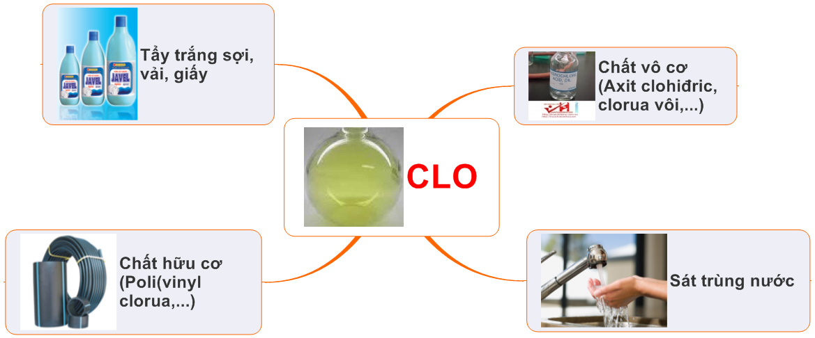 Ngộ độc Clo hữu cơ