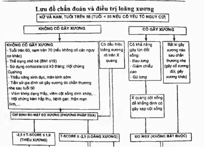 Phác đồ chẩn đoán và điều loãng xương