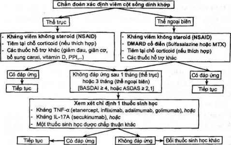 Phác đồ chẩn đoán và điều trị bệnh viêm cột sống dính khớp
