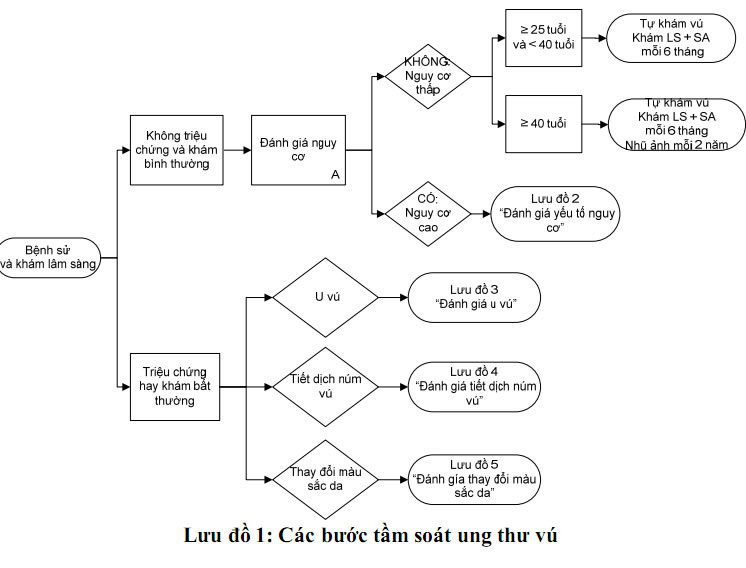 Phác đồ tầm soát ung thư vú