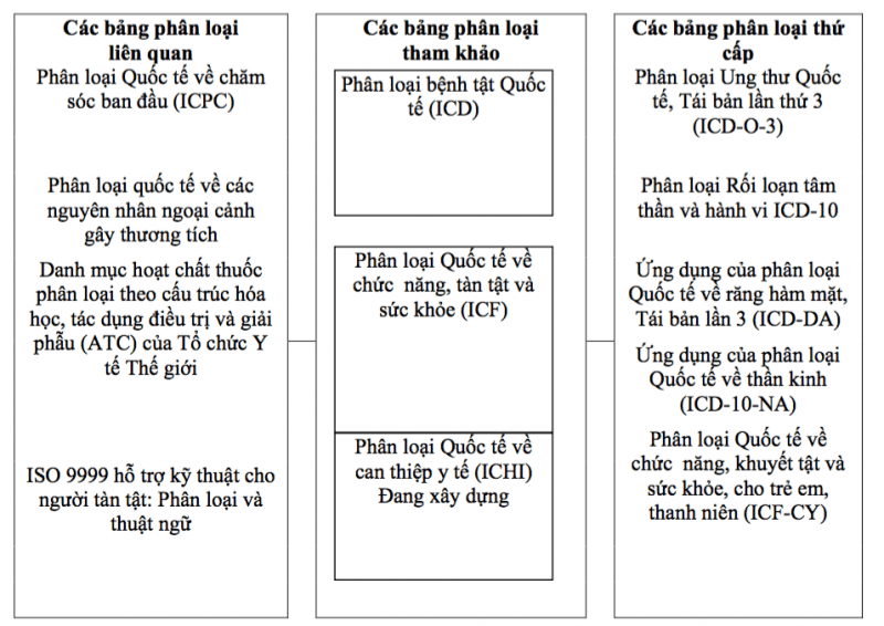 Phân tích ca lâm sàng cấp cứu thần kinh: sốt và mê sảng