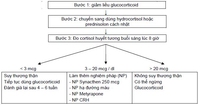 Suy Thượng Thận Do Corticoid (HC giả Cushing)