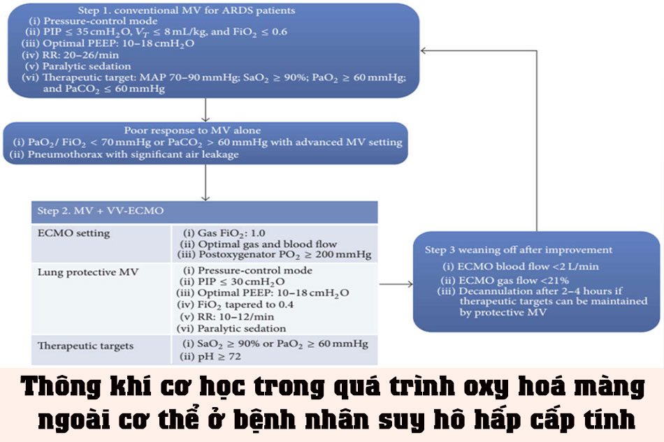 THÔNG KHÍ CƠ HỌC TRONG QUÁ TRÌNH OXY HOÁ MÀNG NGOÀI CƠ THỂ Ở BỆNH NHÂN SUY HÔ HẤP CẤP TÍNH