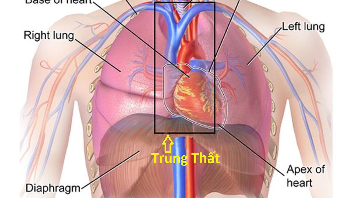 U trung thất