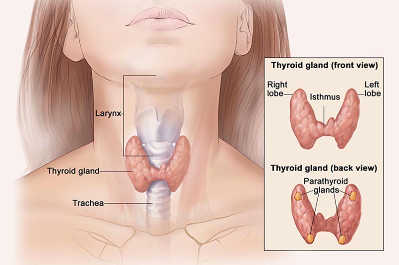 Viêm Tuyến Giáp Bán Cấp (De Quervain)