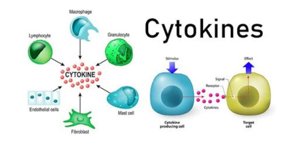 Xét nghiệm Cytokine máu