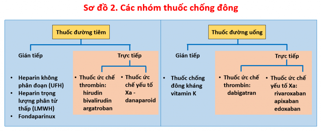 Heparin và ứng dụng Heparin trong lâm sàng