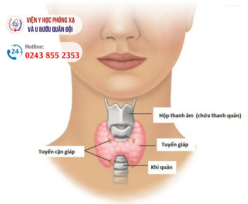 Phác đồ điều trị ung thư tuyến giáp thể biệt hóa