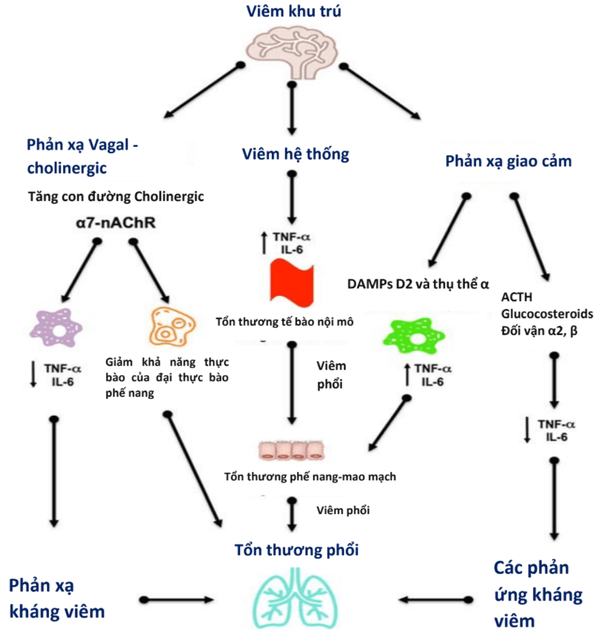 Hội chứng sau ngưng tim ( Post Cardiac Arrest Syndrome – PCAS )