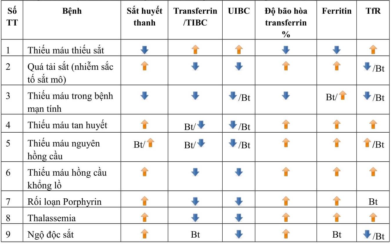 Bảng rối bệnh rối loạn chuyển hóa sắt