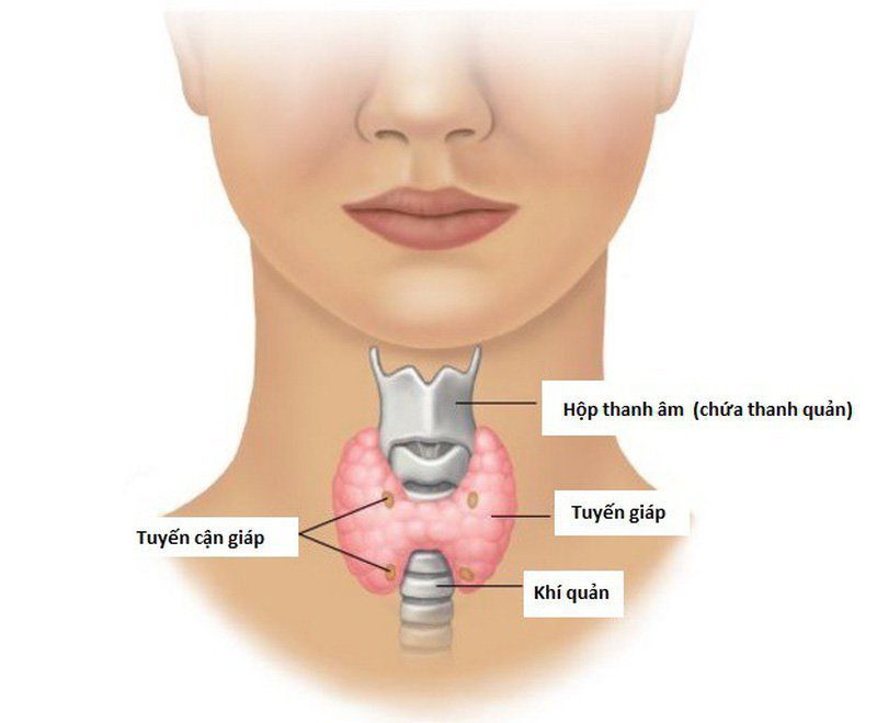 Phẫu thuật cắt bỏ tuyến giáp – Chỉ định, kỹ thuật và biến chứng