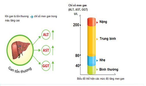 Xét nghiệm sinh hóa đánh giá chức năng gan