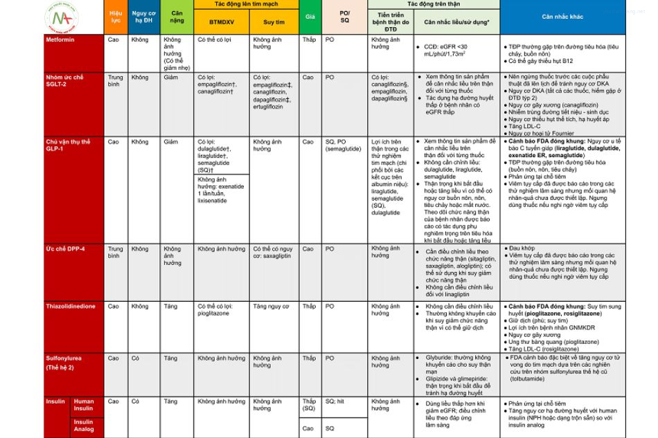 So sánh các nhóm thuốc uống điều trị đái tháo đường