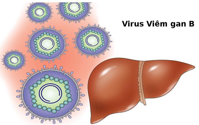 Virus viêm gan B: Tổng quan về điều trị