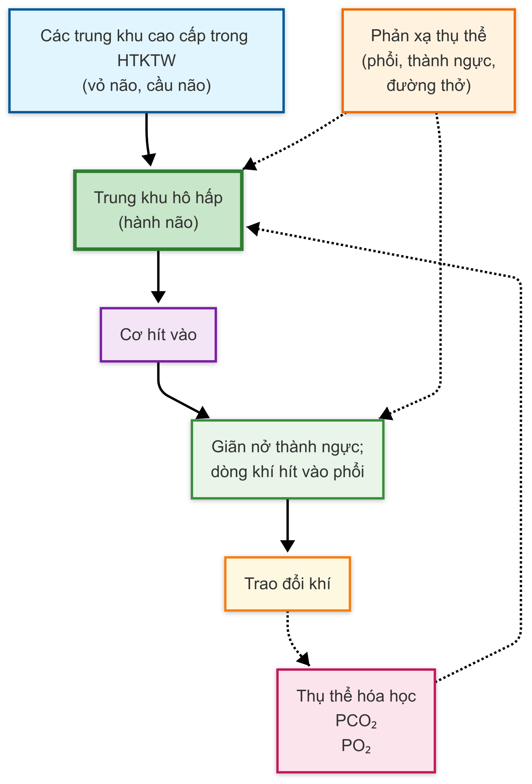 Sách dịch. Các nguyên lý Y học Hô hấp 8e. Chương 17. Các khía cạnh giải phẫu và sinh lý của tương tác thần kinh, cơ và thành ngực với phổi