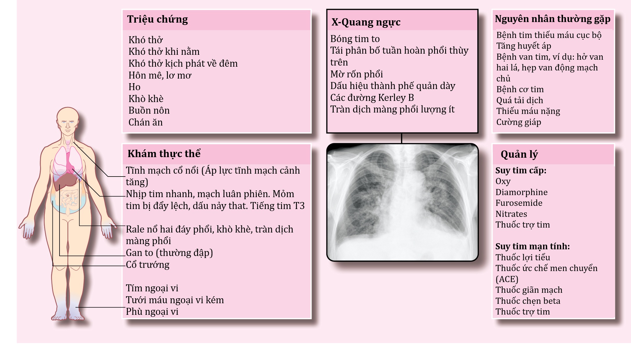 Ngoại khoa Căn bản: Vấn đề, Chẩn đoán và Quản lý, Ấn bản thứ 7 (2026). Chương 8. Các vấn đề Nội khoa liên quan đến phẫu thuật