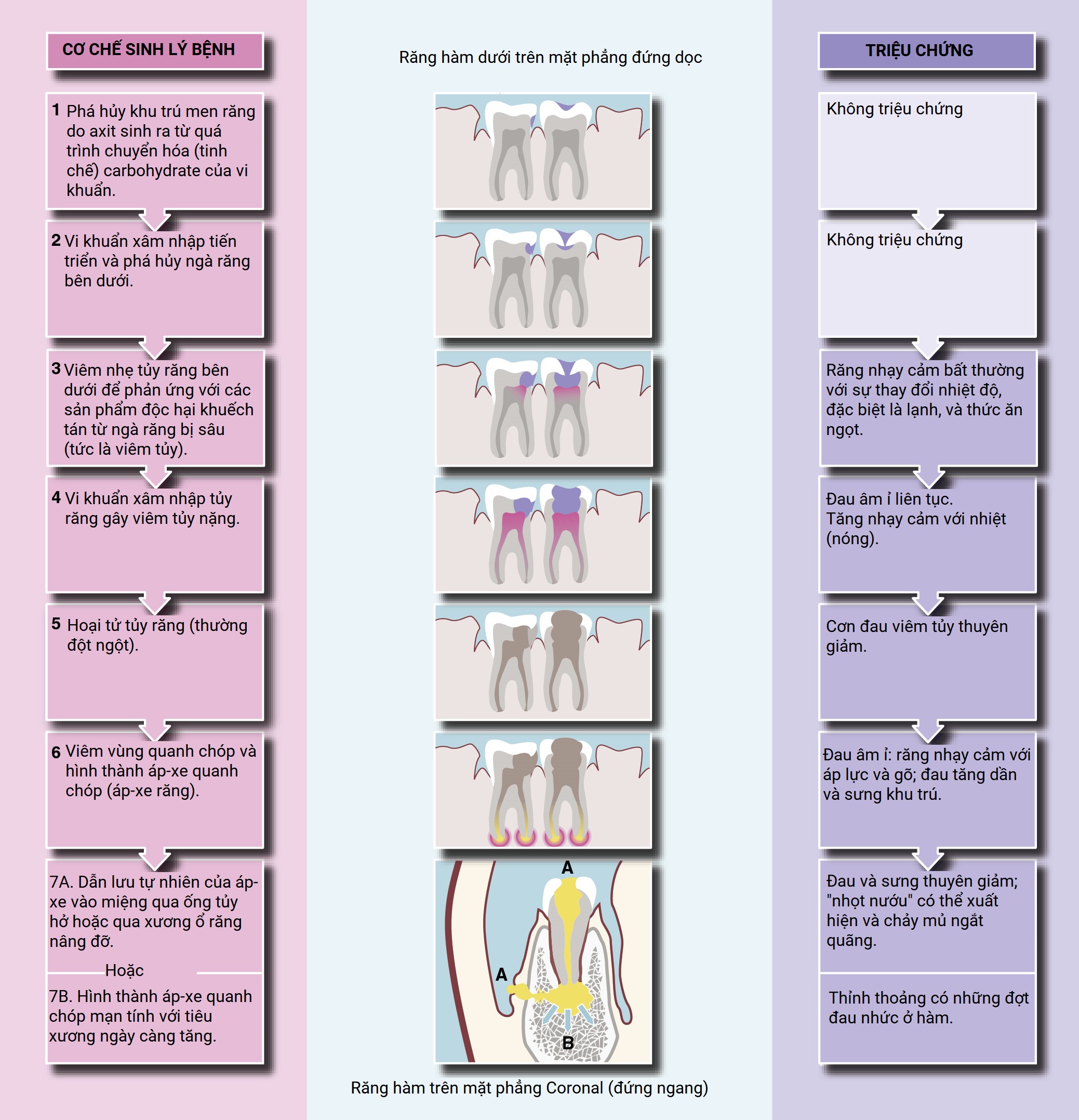 Ngoại khoa Căn bản: Vấn đề, Chẩn đoán và Quản lý, Ấn bản thứ 7 (2026). CHƯƠNG 47. CÁC RỐI LOẠN VÙNG MIỆNG Ngoại khoa Căn bản: Vấn đề, Chẩn đoán và Quản lý, Ấn bản thứ 7 (2026). CHƯƠNG 47. CÁC RỐI LOẠN VÙNG MIỆNG