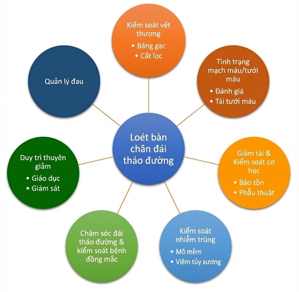 Bệnh lý Thần kinh Đái tháo đường. CHƯƠNG 15. QUẢN LÝ BỆNH LÝ BÀN CHÂN ĐÁI THÁO ĐƯỜNG Bệnh lý Thần kinh Đái tháo đường. CHƯƠNG 15. QUẢN LÝ BỆNH LÝ BÀN CHÂN ĐÁI THÁO ĐƯỜNG