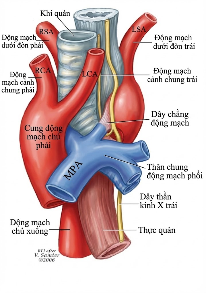 Sổ tay Tai Mũi Họng – Phẫu thuật Đầu Cổ (2026). CHƯƠNG 9: TAI MŨI HỌNG NHI KHOA Sổ tay Tai Mũi Họng – Phẫu thuật Đầu Cổ (2026). CHƯƠNG 9: TAI MŨI HỌNG NHI KHOA