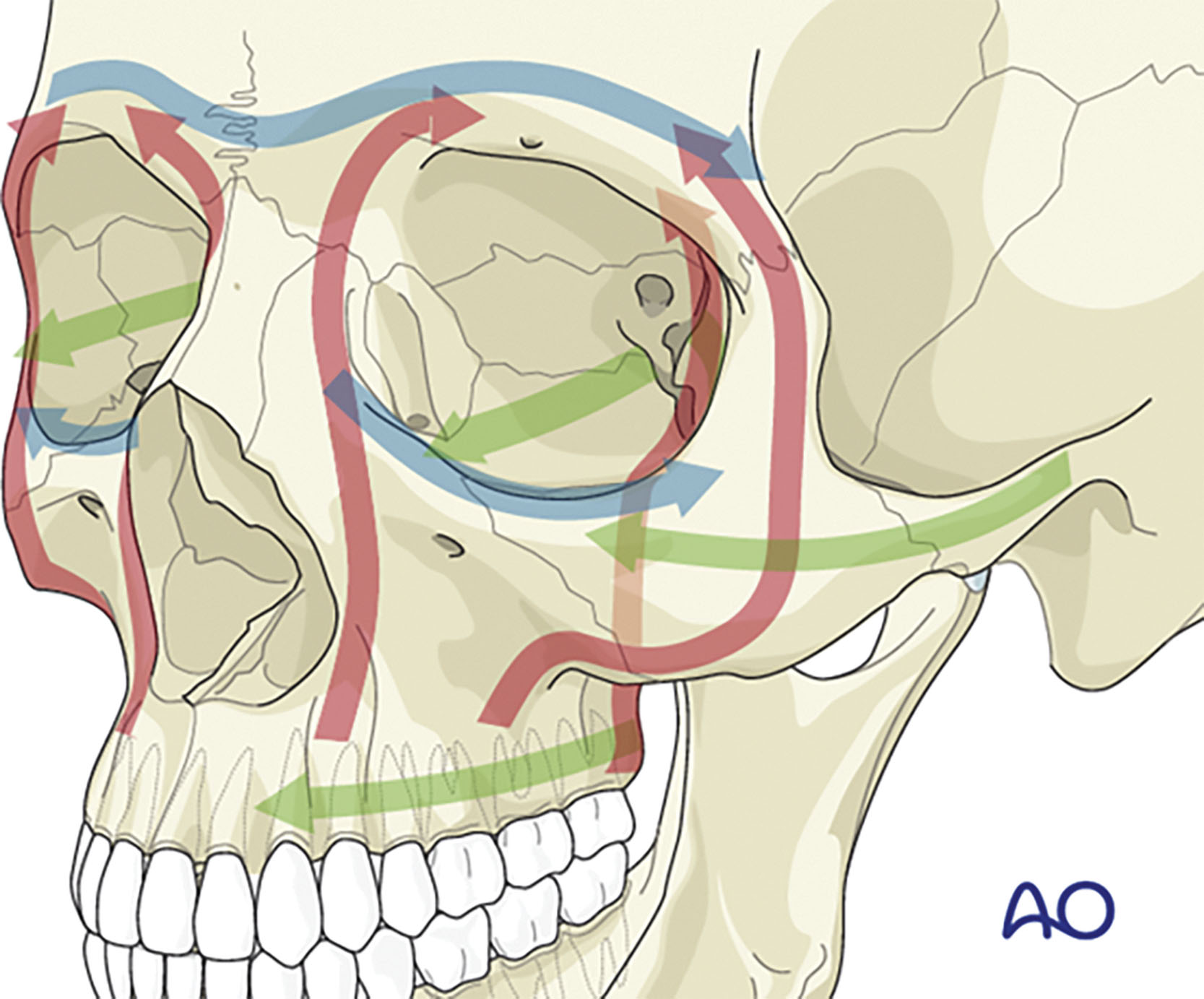 Sổ tay Tai Mũi Họng – Phẫu thuật Đầu Cổ (2026). CHƯƠNG 10. PHẪU THUẬT TẠO HÌNH VÀ TÁI TẠO KHUÔN MẶT Sổ tay Tai Mũi Họng – Phẫu thuật Đầu Cổ (2026). CHƯƠNG 10. PHẪU THUẬT TẠO HÌNH VÀ TÁI TẠO KHUÔN MẶT
