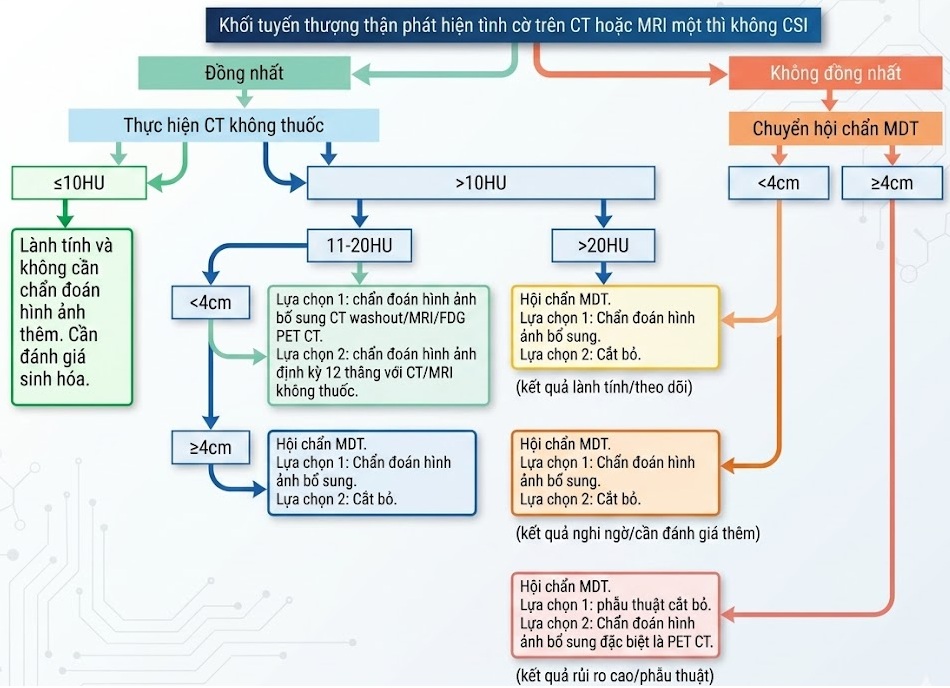 Sổ tay Hình ảnh học Nội tiết (2026). Chương 1. NỐT TUYẾN THƯỢNG THẬN PHÁT HIỆN TÌNH CỜ