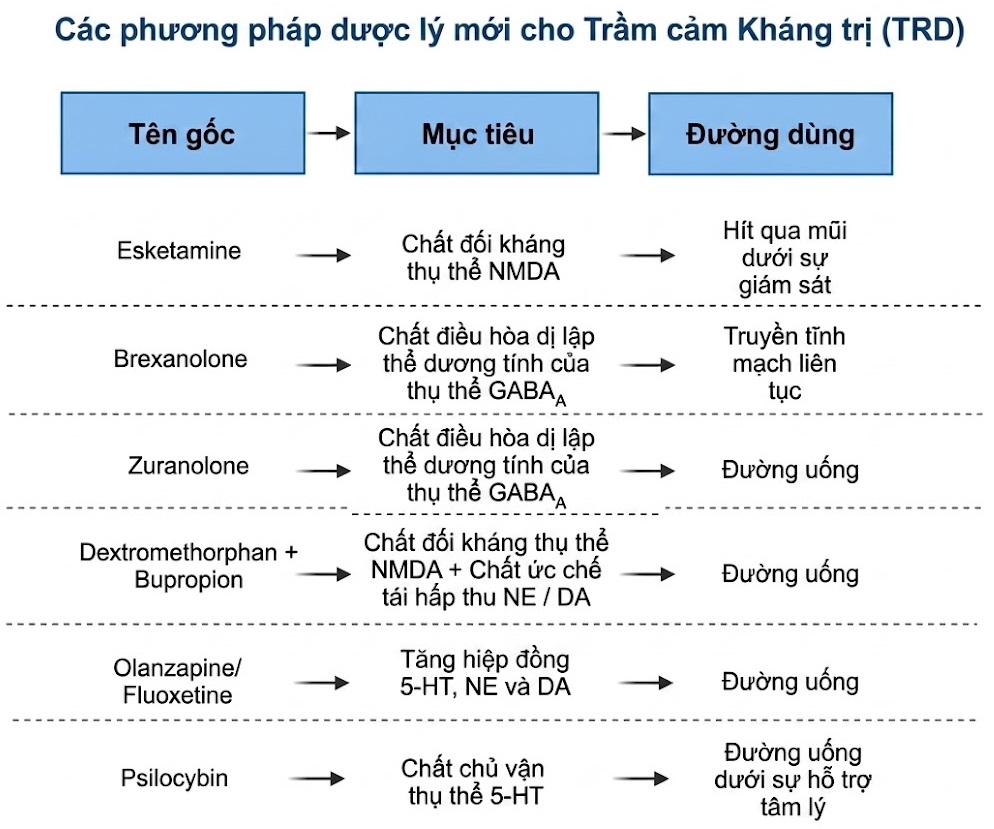 Điều trị Trầm cảm Kháng trị – Dược lý Thần kinh và Kích thích Thần kinh. CHƯƠNG 2. DƯỢC LÝ THẦN KINH PHÂN TỬ CỦA TRẦM CẢM KHÁNG TRỊ