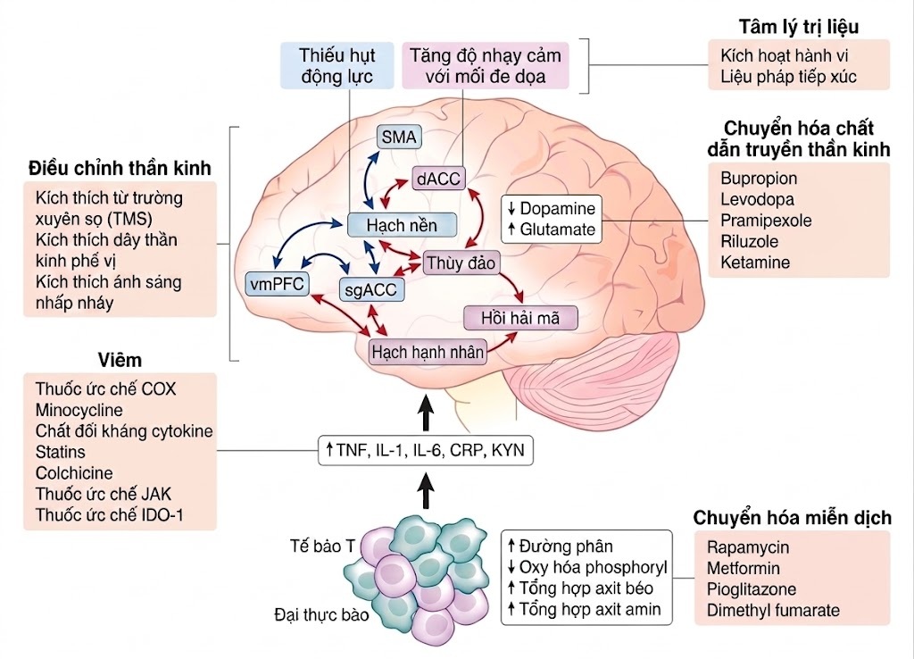 Điều trị Trầm cảm Kháng trị – Dược lý Thần kinh và Kích thích Thần kinh. CHƯƠNG 7. TÁC ĐỘNG CỦA VIÊM LÊN TÌNH TRẠNG KHÁNG TRỊ TRONG TRẦM CẢM: CƠ CHẾ VÀ CƠ HỘI CHUYỂN DỊCH LÂM SÀNG