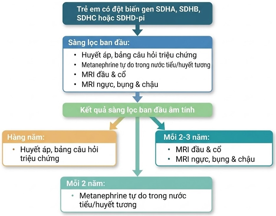 Sổ tay Hình ảnh học Nội tiết (2026). CHƯƠNG 7. THIẾU HỤT SUCCINATE DEHYDROGENASE