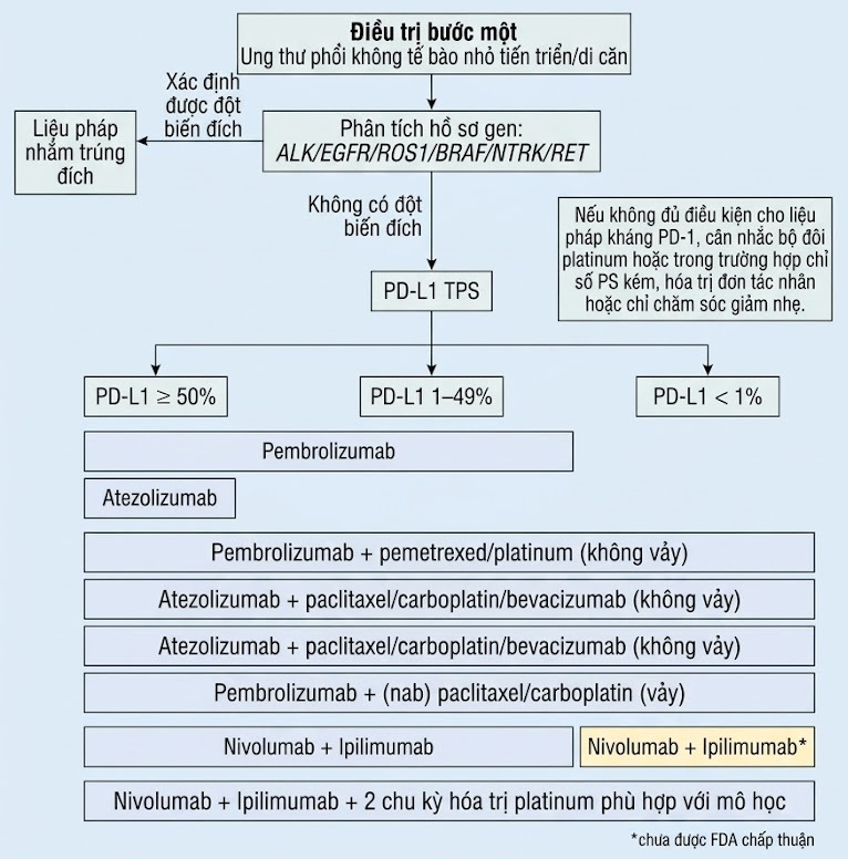 Ung thư Phổi – Cách tiếp cận Quản lý Đa ngành Dựa trên bằng chứng. CHƯƠNG 8. ĐIỀU TRỊ BƯỚC MỘT
