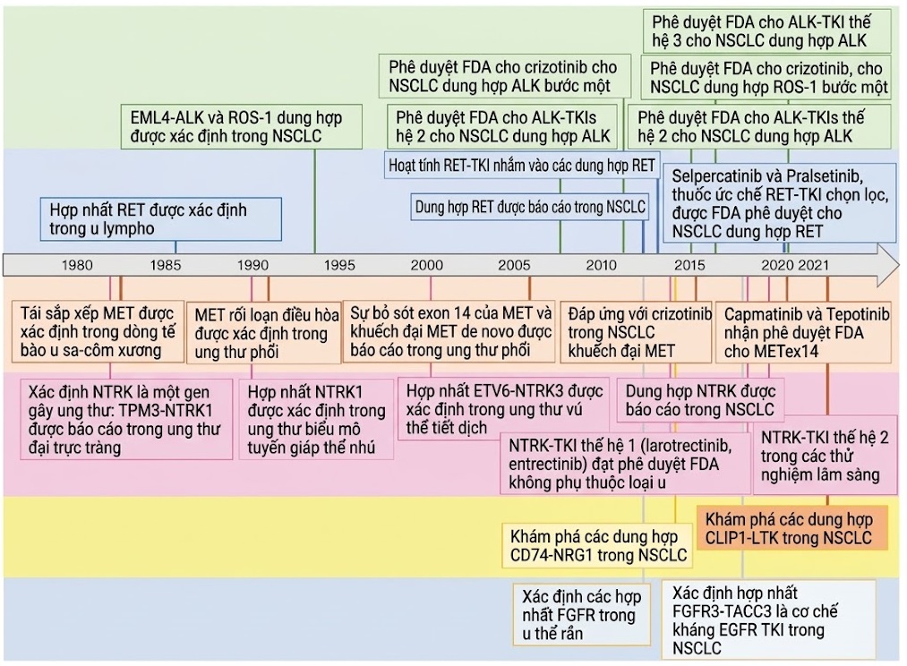 Ung thư Phổi – Cách tiếp cận Quản lý Đa ngành Dựa trên bằng chứng. CHƯƠNG 12. CÁC NHÓM ĐỘT BIẾN PHÂN TỬ KHÁC BAO GỒM ROS1, BRAF, HER2, MET, NTRK, RET, KRAS